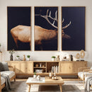 Rustic Elk Wall Art Canvas Print – Framed Moody Wildlife Art by MyGreatCanvas | Canvas Wall Art Prints | Photo Prints & Wall Decor