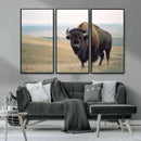 Bison Wall Art Canvas Print – Framed Buffalo American Bison