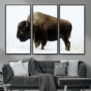 Bison Wall Art Canvas Print – Framed Western Wildlife