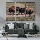 Bison Wall Art Canvas Print – Framed Western Wildlife Modern by MyGreatCanvas | Canvas Wall Art Prints | Photo Prints & Wall Decor