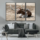 Texas Longhorn Wall Art Canvas Print – Framed Country Living