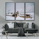 Bison Wildlife Wall Art Canvas Print – Framed Snowy Prairie