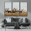 Elk Herd Wall Art Canvas Print – Framed Wildlife Photography