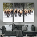 American Bison Herd Wall Art Canvas Print – Powerful Winter by MyGreatCanvas | Canvas Wall Art Prints | Photo Prints & Wall Decor