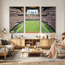 Chicago Bears Soldiers Field Wall Art Canvas Print – Framed