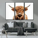 Scottish Highland Cow Canvas Print, Framed Highland Cow