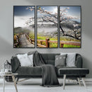 Sakura Cherry Blossom Pathway Canvas Wall Art – Tranquil