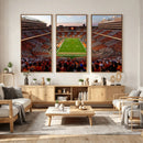 Tennessee Neyland Stadium Wall Art, Sports Arena Canvas by MyGreatCanvas | Canvas Wall Art Prints | Photo Prints & Wall Decor