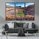 Tennessee Neyland Stadium Wall Art, Sports Arena Canvas by MyGreatCanvas | Canvas Wall Art Prints | Photo Prints & Wall Decor