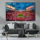 Tennessee Neyland Stadium Wall Art, Sports Arena Canvas by MyGreatCanvas | Canvas Wall Art Prints | Photo Prints & Wall Decor