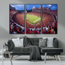 Dooley Stadium Wall Art, Sports Arena Canvas Print, Dooley by MyGreatCanvas | Canvas Wall Art Prints | Photo Prints & Wall Decor