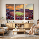Dooley Stadium Wall Art, Sports Arena Canvas Print, Dooley