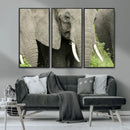 Wild Elephant Wall Art Canvas Print by MyGreatCanvas | Canvas Wall Art Prints | Photo Prints & Wall Decor