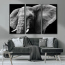 Big Elephant Close Up Wall Art Canvas Print