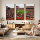 Auburn Stadium Wall Art Canvas Print, Jordan Hare Stadium