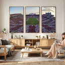 Oklahoma Sooners Gaylord Family Oklahoma Memorial Stadium