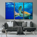 Sea Turtle Wall Art Canvas Print, Sea life in the Ocean Wall