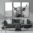 Newfoundland Cow Art Wall Art, Black White Cow Art Wall Art