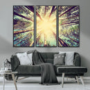 Tree and Sunshine Canvas Print by MyGreatCanvas | Canvas Wall Art Prints | Photo Prints & Wall Decor