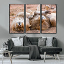 Lion Pair Wall Art Canvas Print – Framed Wildlife Scene with