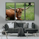 Longhorn Steer Canvas Wall Art – Rustic Nature Triptych