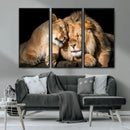 Lion and Lioness Wall Art Canvas Print – Framed African
