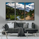 San Juan Nal Forest Wall Art Landscape Canvas Print
