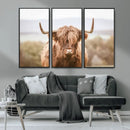 Scottish Serene Highland Cow Canvas Wall Art – Serene