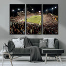 Washington-Grizzly Stadium Canvas Print, American Football