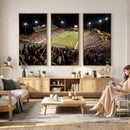 Washington-Grizzly Stadium Canvas Wall Art – Exciting Game