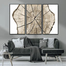 Abstract Wood Tree Ring Wall Art - Ready to Hang Minimalist