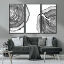 Abstract Large Tree Rings – Minimalist Black and White Wood