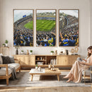 Boca Juniors Soccer Team Print Wall Art - Buenos Aires