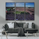 South Carolina Gamecocks Football Team Print - Columbia