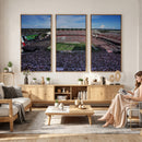 South Carolina Gamecocks Football Team Print - Columbia