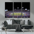 Buffalo Bills Wall Art - Buffalo Bills Stadium Canvas Print,