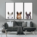 Horse Prints Set, Set of 3 Horse Wall Art, Horses Portraits, by MyGreatCanvas | Canvas Wall Art Prints | Photo Prints & Wall Decor