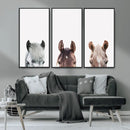 Horse Wall Art - Minimalist Horse Triptych Wall Art – Modern by MyGreatCanvas | Canvas Wall Art Prints | Photo Prints & Wall Decor