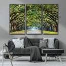 Wormsloe State Plantation Driveway Wall Art Canvas Print by MyGreatCanvas | Canvas Wall Art Prints | Photo Prints & Wall Decor
