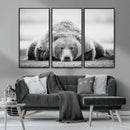 Resting Grizzly Bear Wall Art Canvas Print – Majestic Lazy by MyGreatCanvas | Canvas Wall Art Prints | Photo Prints & Wall Decor