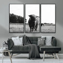 Black and White Highland Cow Wall Art Canvas Print | Rustic