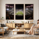 Eagles Field Stadium Wall Art - Philadelphia Eagles Football