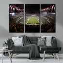 Eagles Field Stadium Wall Art - Philadelphia Eagles Football