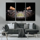Eagles Field Stadium Wall Art - Lincoln Financial Field