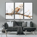 Barn Owl Wall Art on Branch | Stunning Canvas Print for