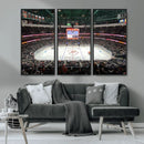Honda Center California Anaheim Ducks Ice Hockey Stadium