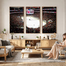 PNC Arena Raleigh North Carolina Hurricanes Hockey Stadium