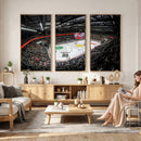Vaudoise Lausanne Ice Hockey Arena Stadium Wall Art Canvas,