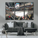 Xcel Energy Center St Paul Minnesota Wild Ice Hockey Stadium