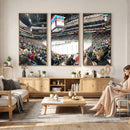 Xcel Energy Center St Paul Minnesota Wild Ice Hockey Stadium
